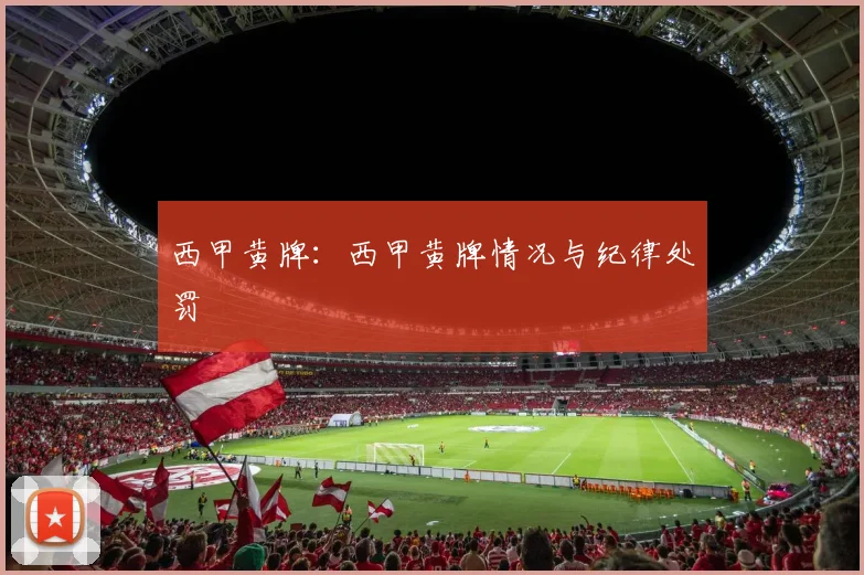 西甲黄牌：西甲黄牌情况与纪律处罚